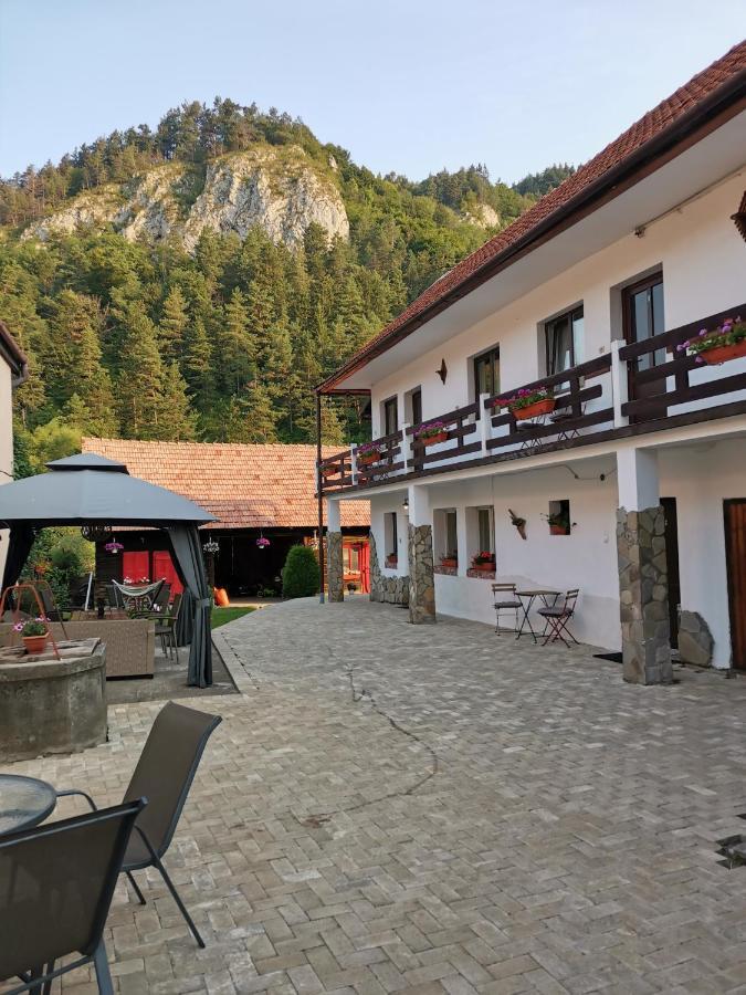 Gasthof Piatra Craiului Bran (Brasov)