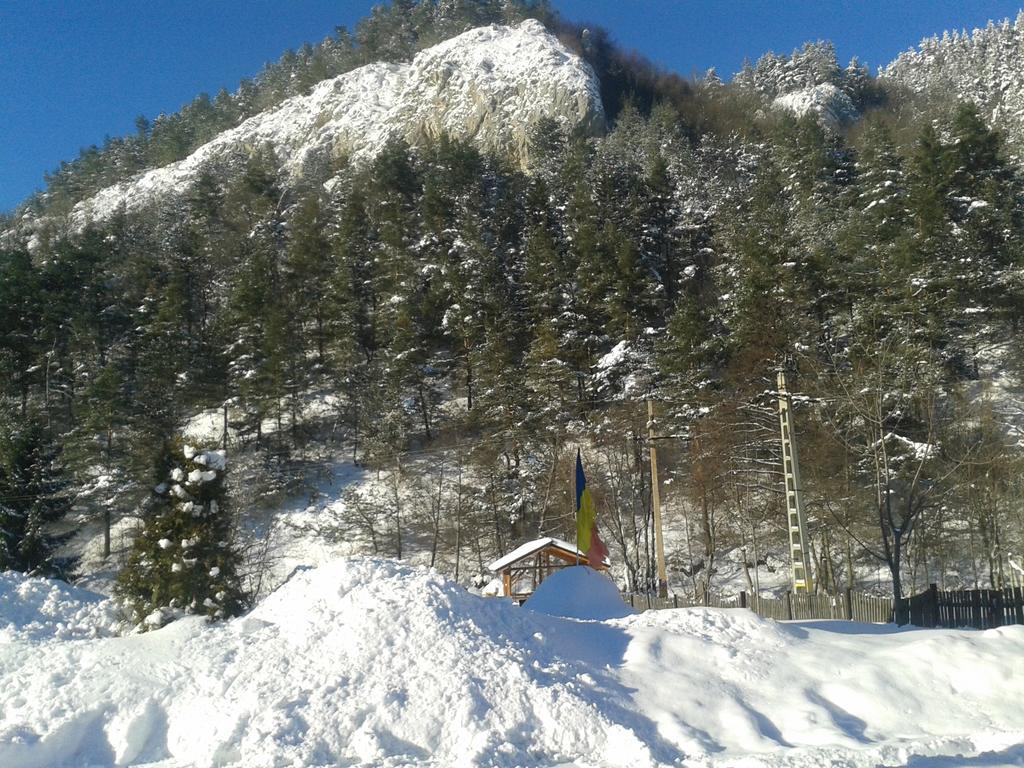 Piatra Craiului *